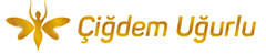Çiğdem Uğurlu Akademi